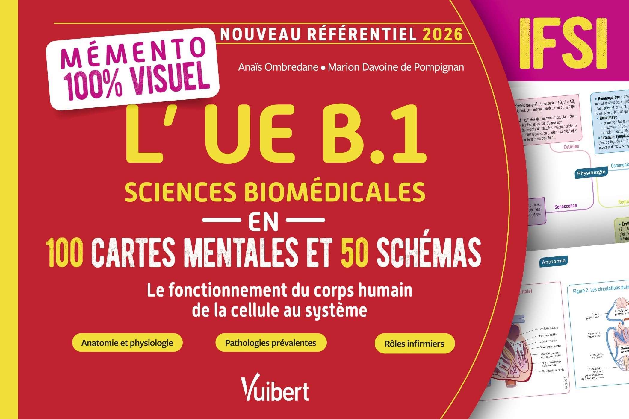 Mémento 100% visuel: L'UE B.1 Sciences biomédicales en 100 cartes mentales et 50 schémas - IFSI: Anatomie, organisation générale, physiologie, pathologies prévalentes, traitements, prévention et rôle IDE