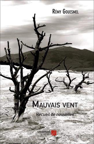 Mauvais vent