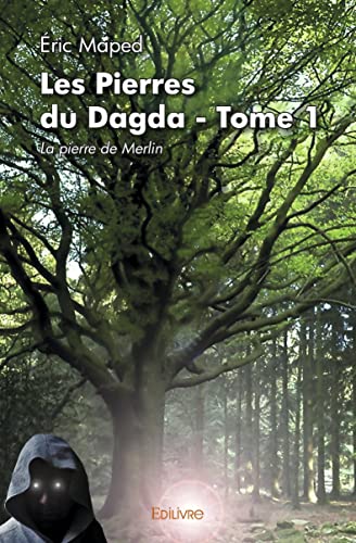 Les Pierres du Dagda - Tome 1: La pierre de Merlin