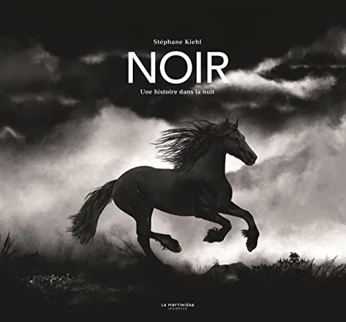 Noir: une histoire dans la nuit