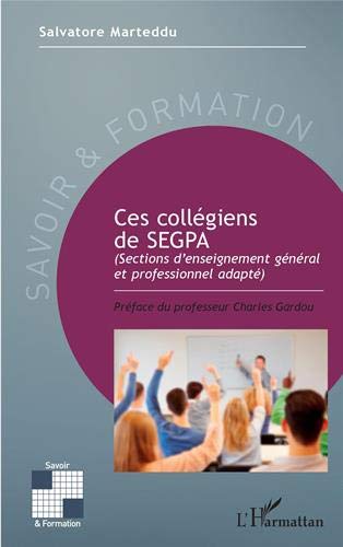 Ces collegiens de SEGPA (sections d'enseignement général et professionnel adapté)