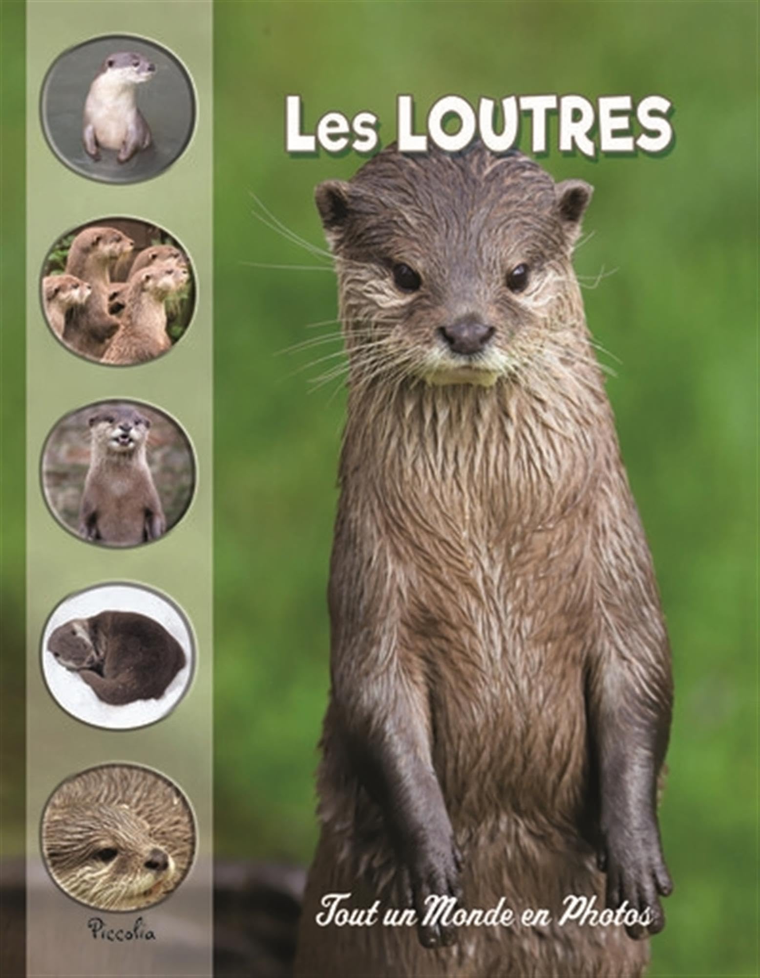 Tout un monde en photos: Les loutres