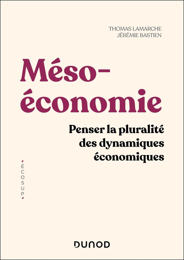 Mésoéconomie: penser la pluralité des dynamiques économiques