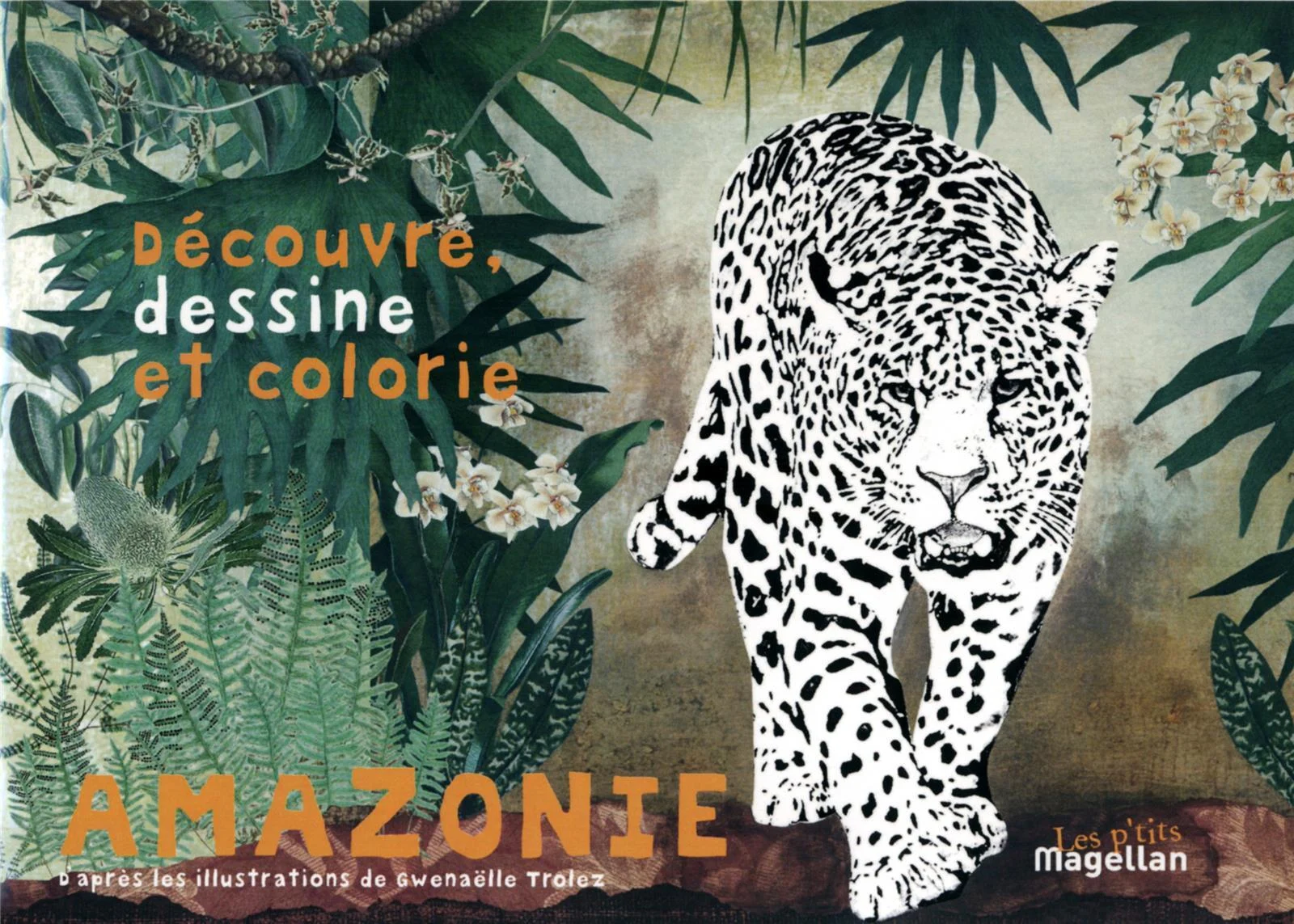 Amazonie: découvre, dessine et colorie les animaux de la forêt amazonienne