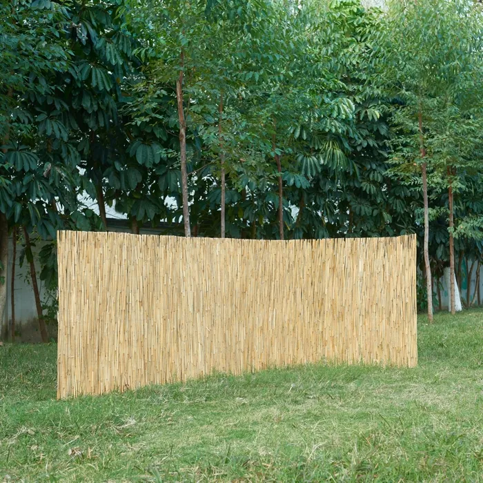 Canisse en roseau Abbateggio 100 x 600 cm naturel casa.pro