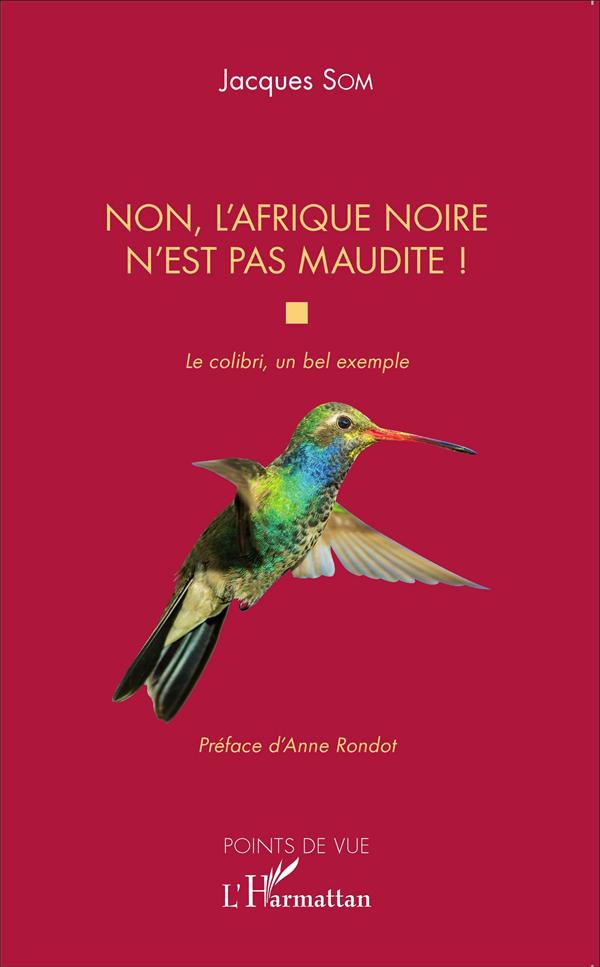 Non, l'Afrique noire n'est pas maudite - le colibri, un bel exemple