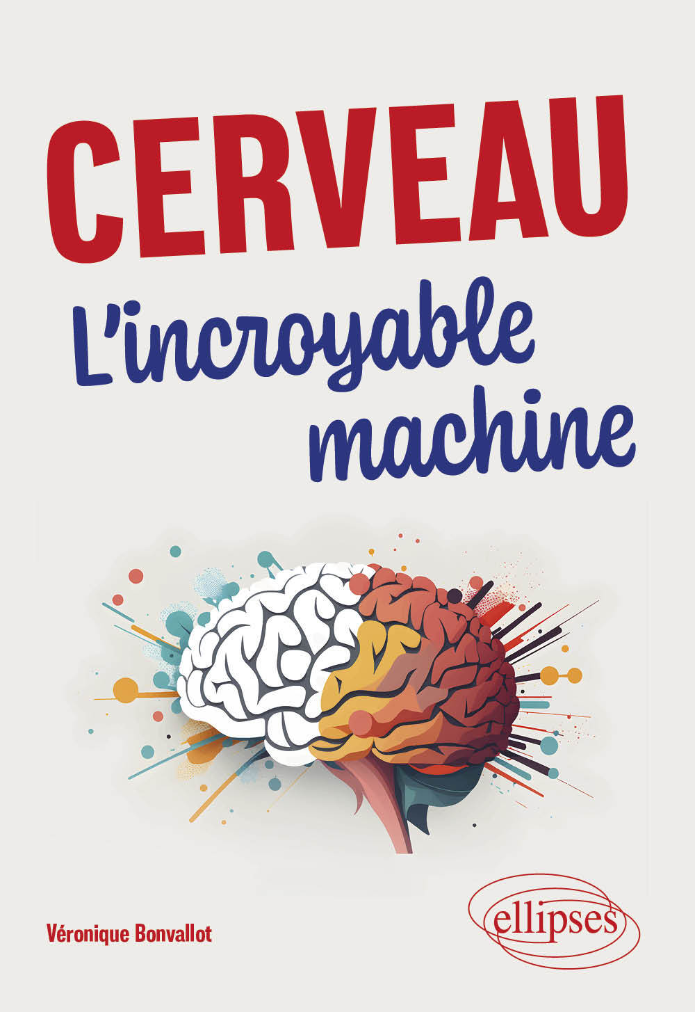 Cerveau: l'incroyable machine