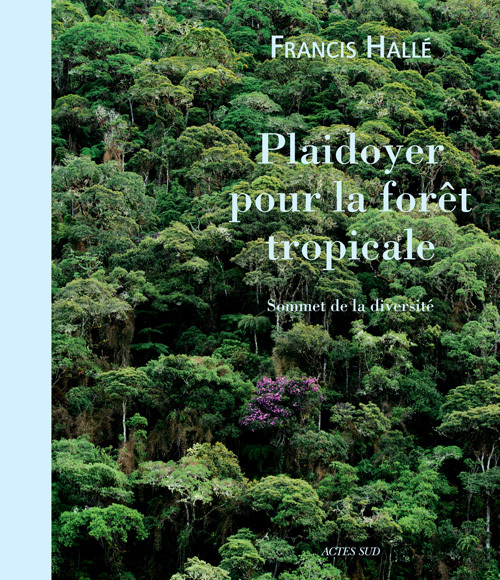 Plaidoyer pour la forêt tropicale: sommet de la diversité
