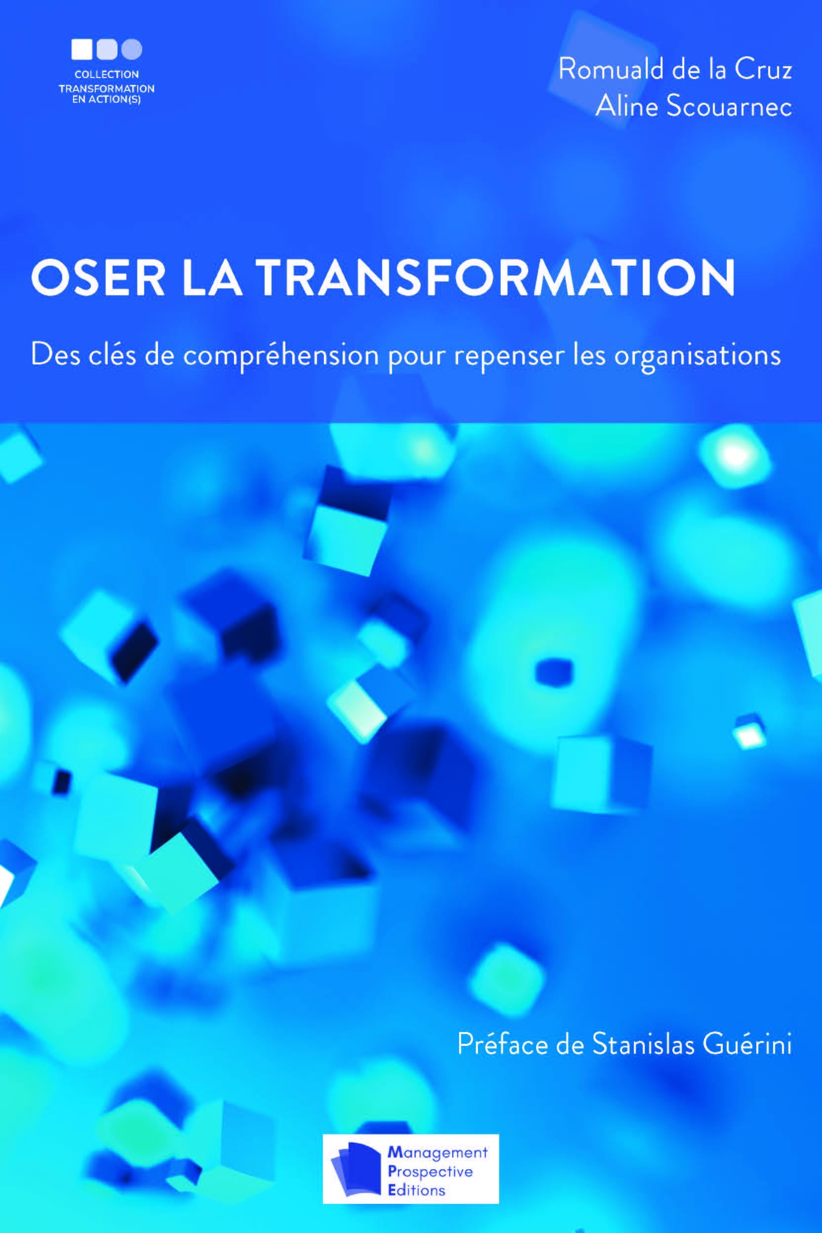 Oser la transformation: Des clés de compréhension pour repenser les organisations