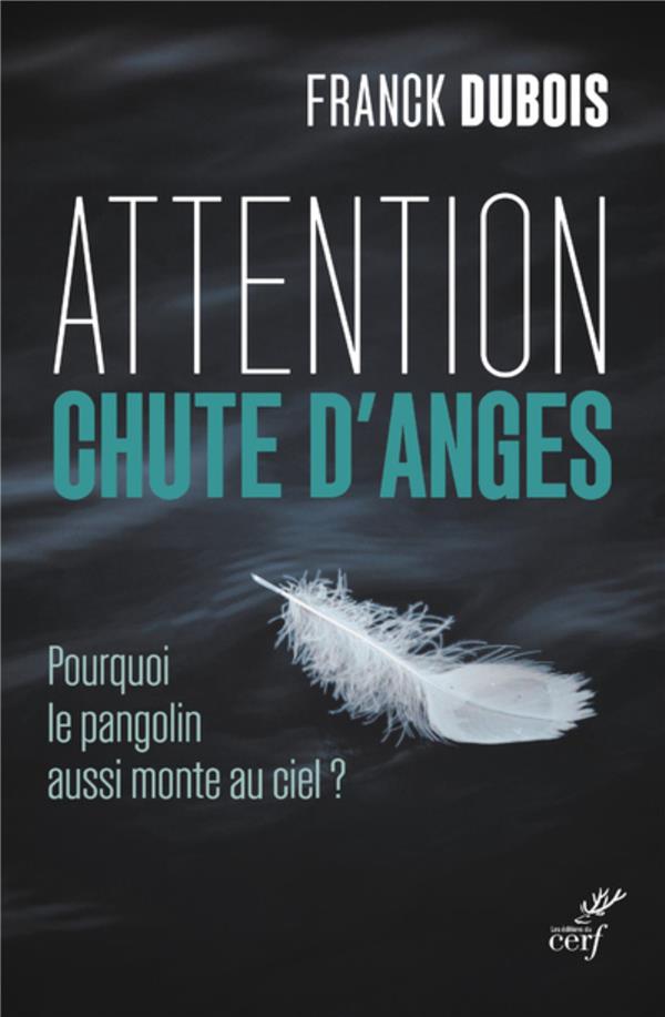 Attention chute d'anges: pourquoi le pangolin aussi monte au ciel?