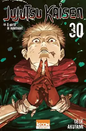 Jujutsu kaisen. Vol. 30. A partir de maintenant