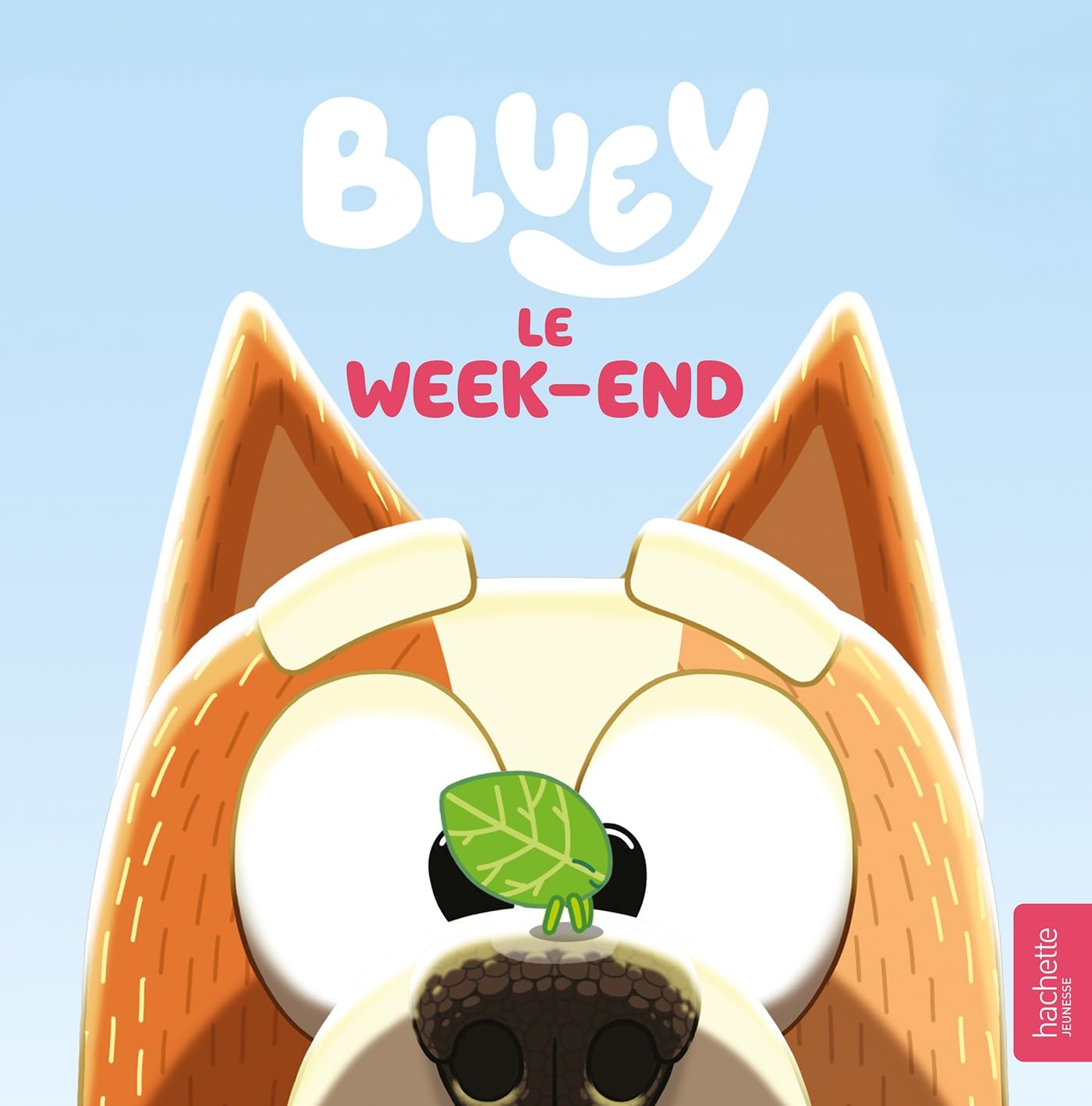 Bluey - Le week-end