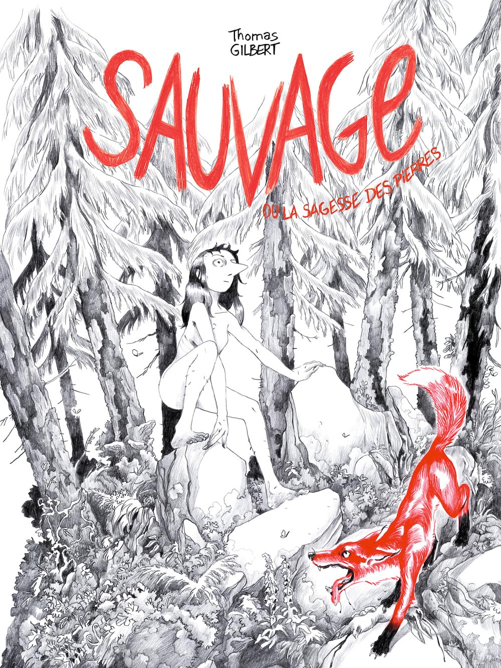 Sauvage ou la sagesse des pierres