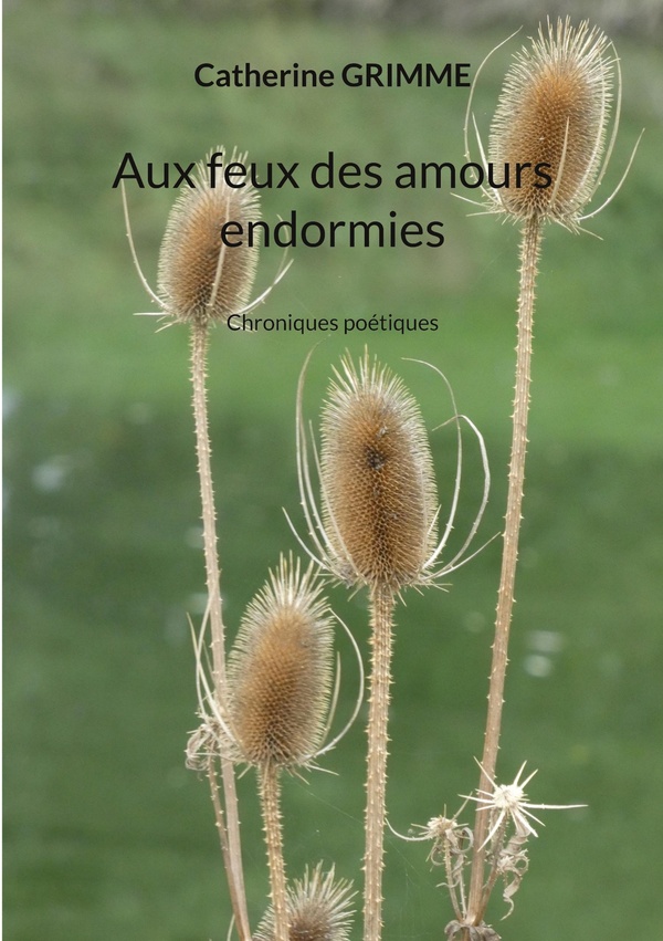 Aux feux des amours endormies: Chroniques poétiques