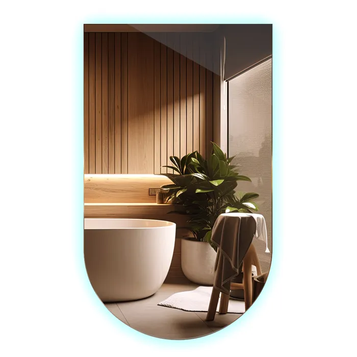 Miroir Décoratif Ovale Coupé Led Intérieur Moderne 60x100 Cm - Froide