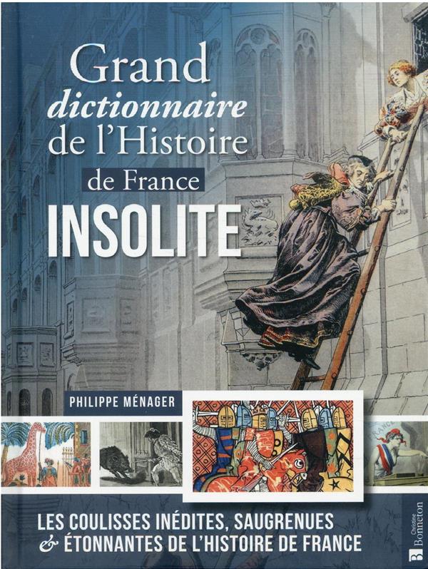 Grand dictionnaire de l'histoire de France insolite: les coulisses inédites, saugrenues et étonnantes de l'histoire de France