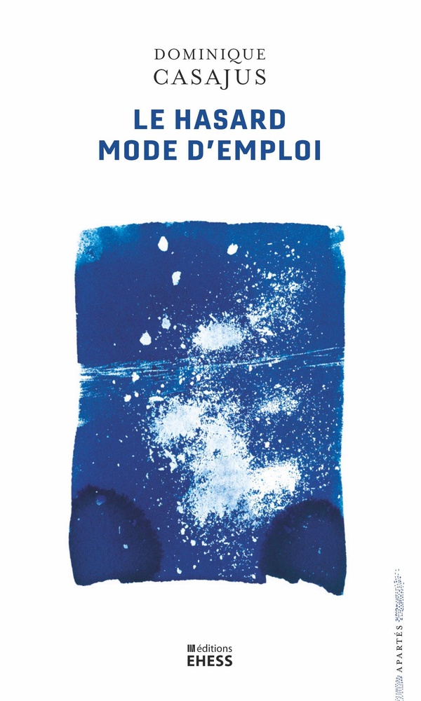 Le hasard mode d'emploi: divination, arithmétique et machines littéraires