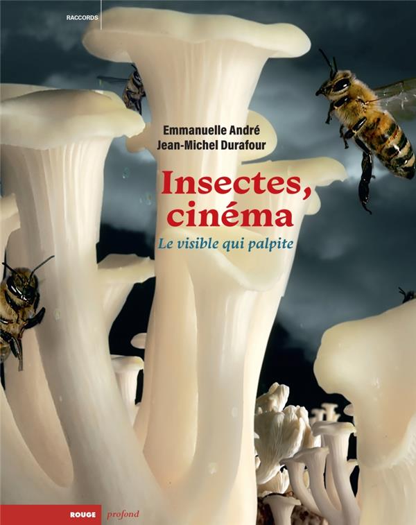 Insectes et cinéma: le visible qui palpite
