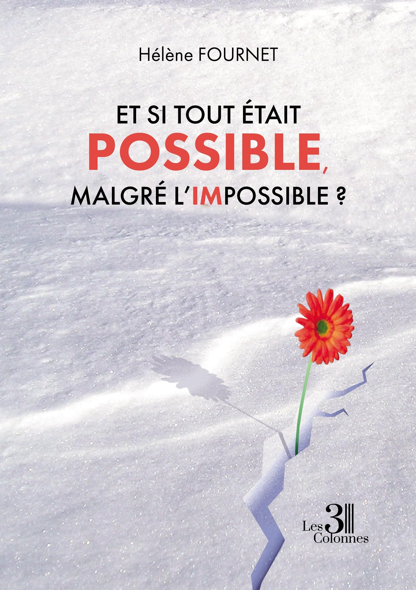 Et si tout était possible, malgré l'impossible?