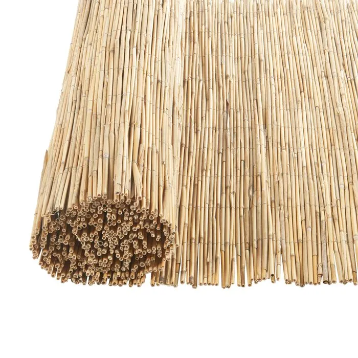 Canisse en roseau Abbateggio 100 x 300 cm naturel casa.pro
