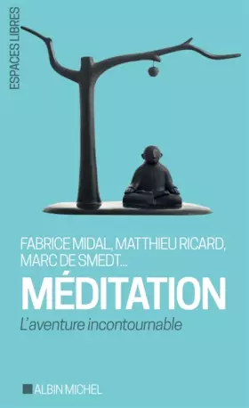 Méditation: L'aventure incontournable - Marc de Smedt
