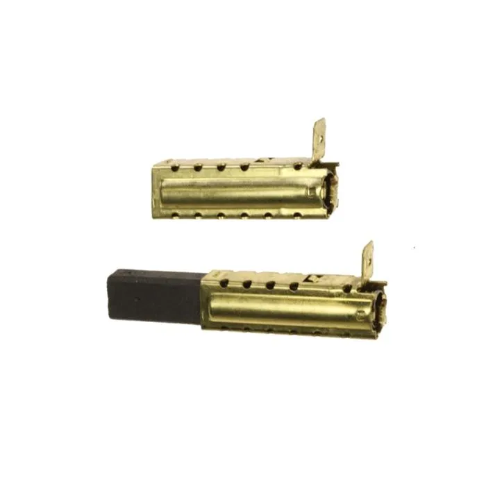 Karcher charbon moteur pour aspirateur