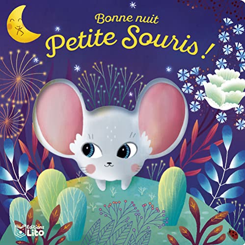 PTITS LIVRES A TROUS SOURIS