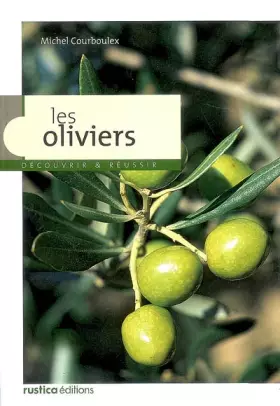 Les oliviers - Michel Courboulex