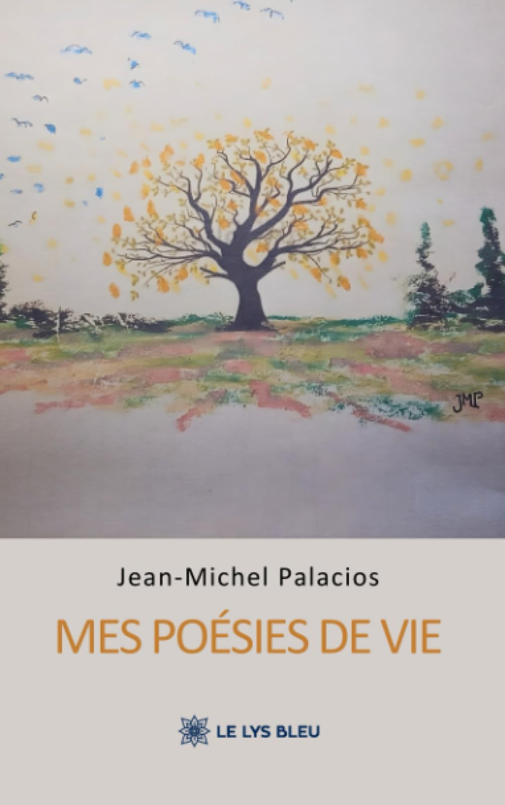 Mes poésies de vie