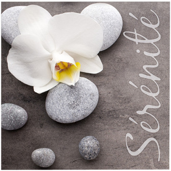 Lot de 20 serviettes papier serenite