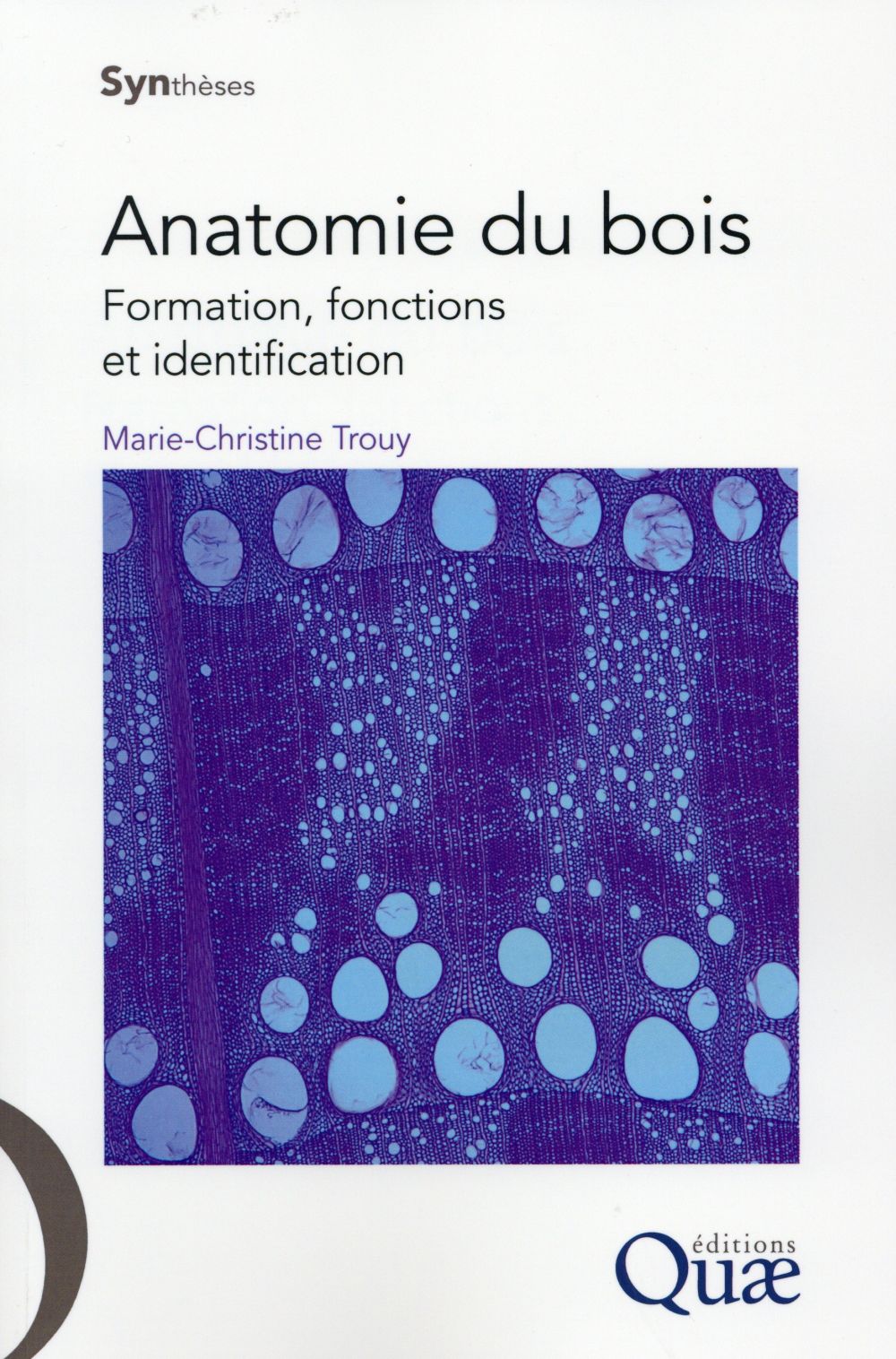 Anatomie du bois: formation, fonctions et identification