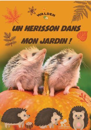 Un hérisson dans mon jardin!