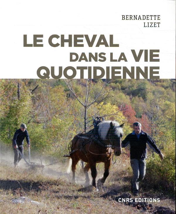 Le cheval dans la vie quotidienne: techniques et représentations du cheval de travail dans l'Europe industrielle