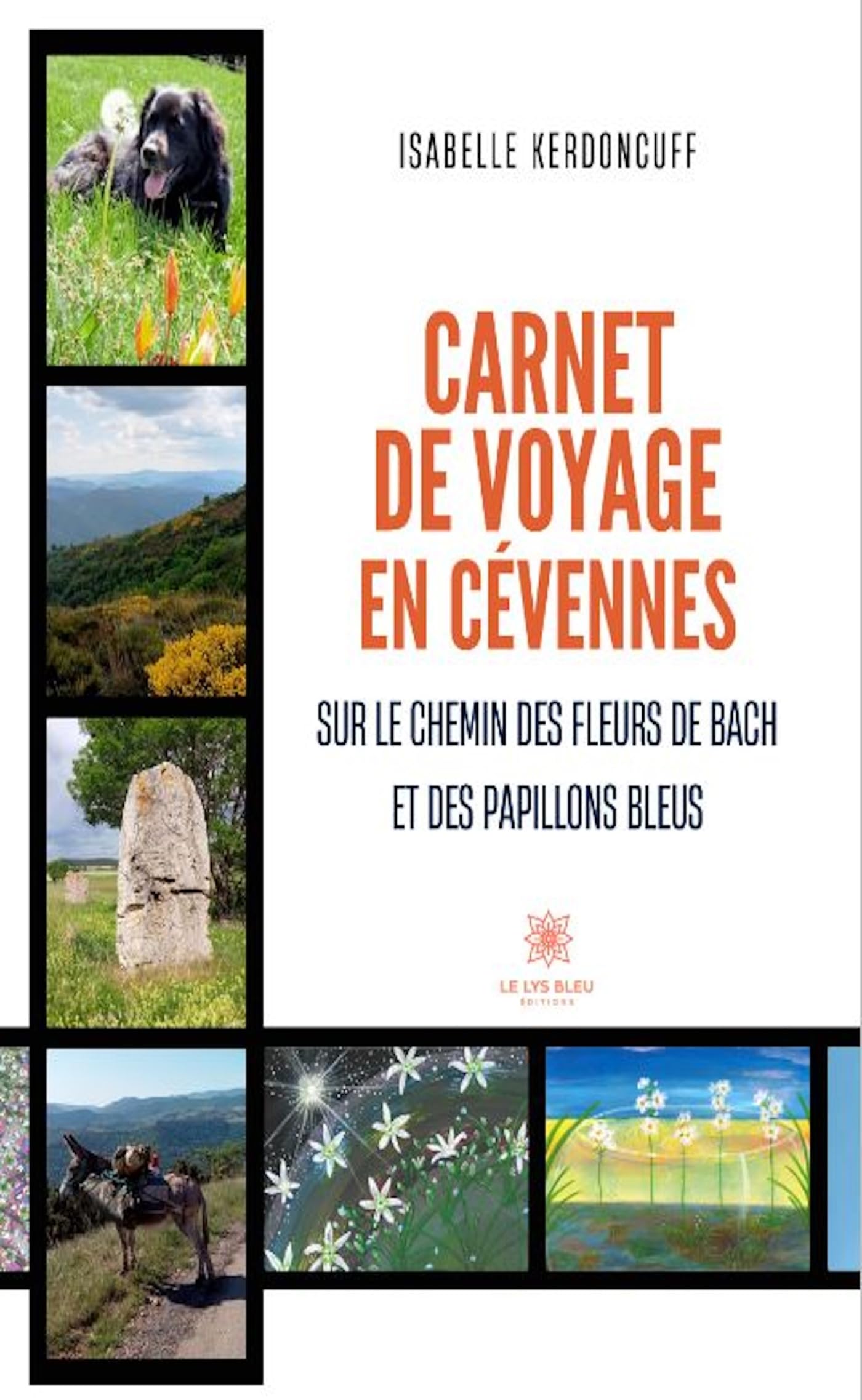 Carnet de voyage en cévennes.