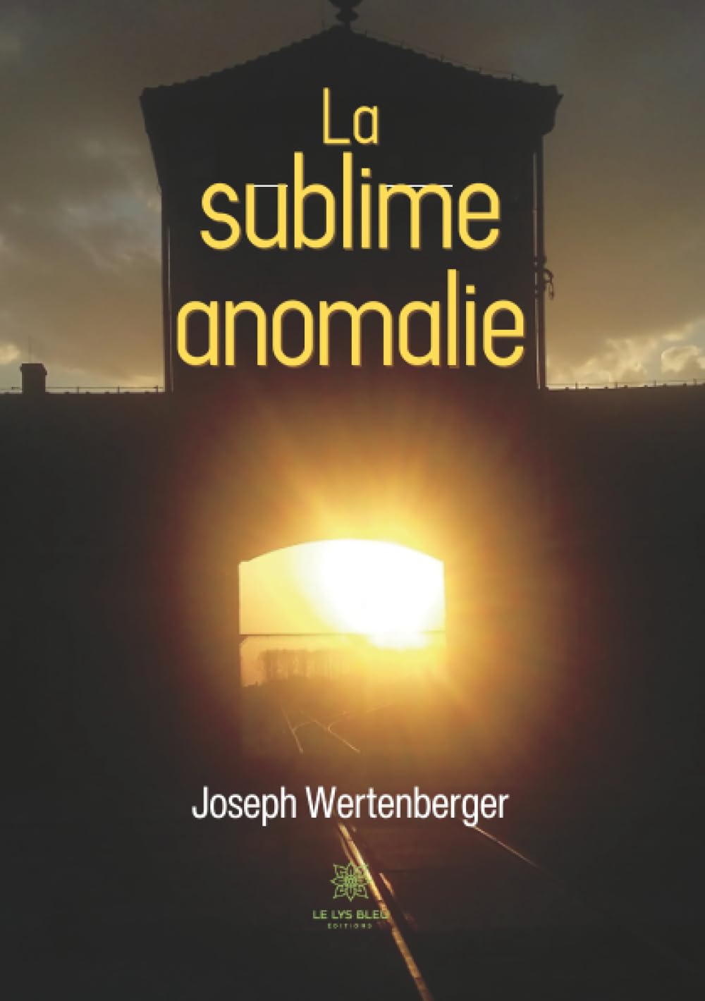La sublime anomalie
