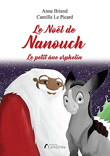 Le Noël de Nanouch - Anne Briand, Camille LE PICARD