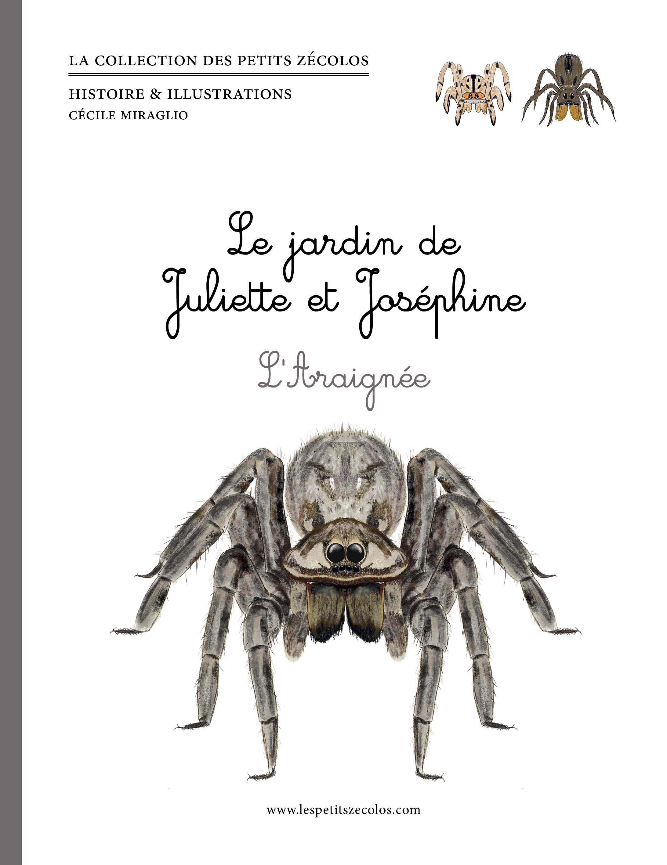 Le jardin de Juliette et Joséphine: l'araignée: Le jardin de Juliette et Joséphine: l'araignée
