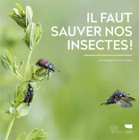 Il faut sauver nos insectes - Denis Richard