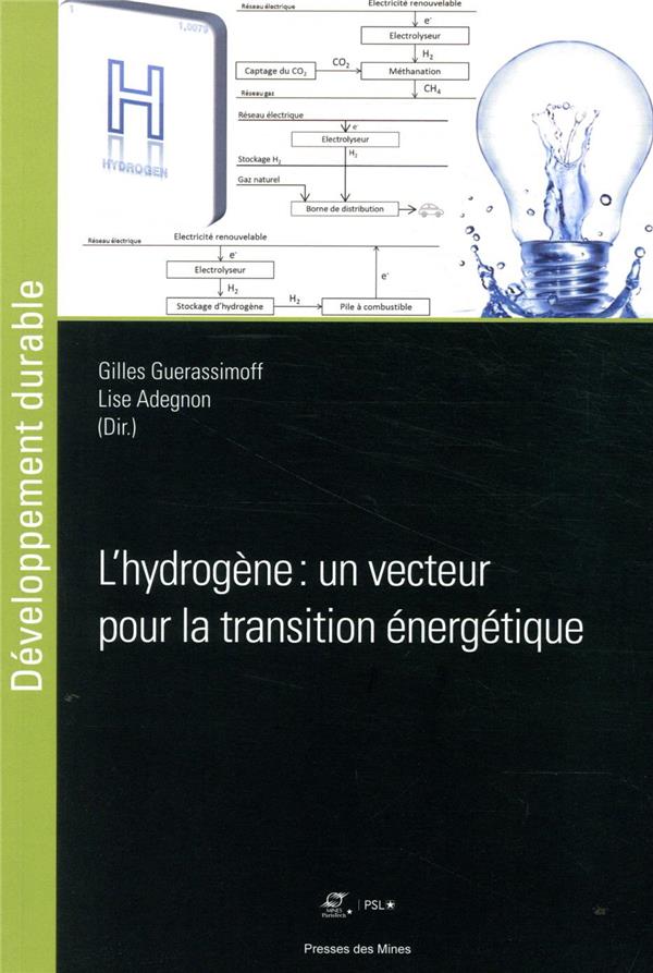 L'hydrogène, un vecteur pour la transition énergétique?