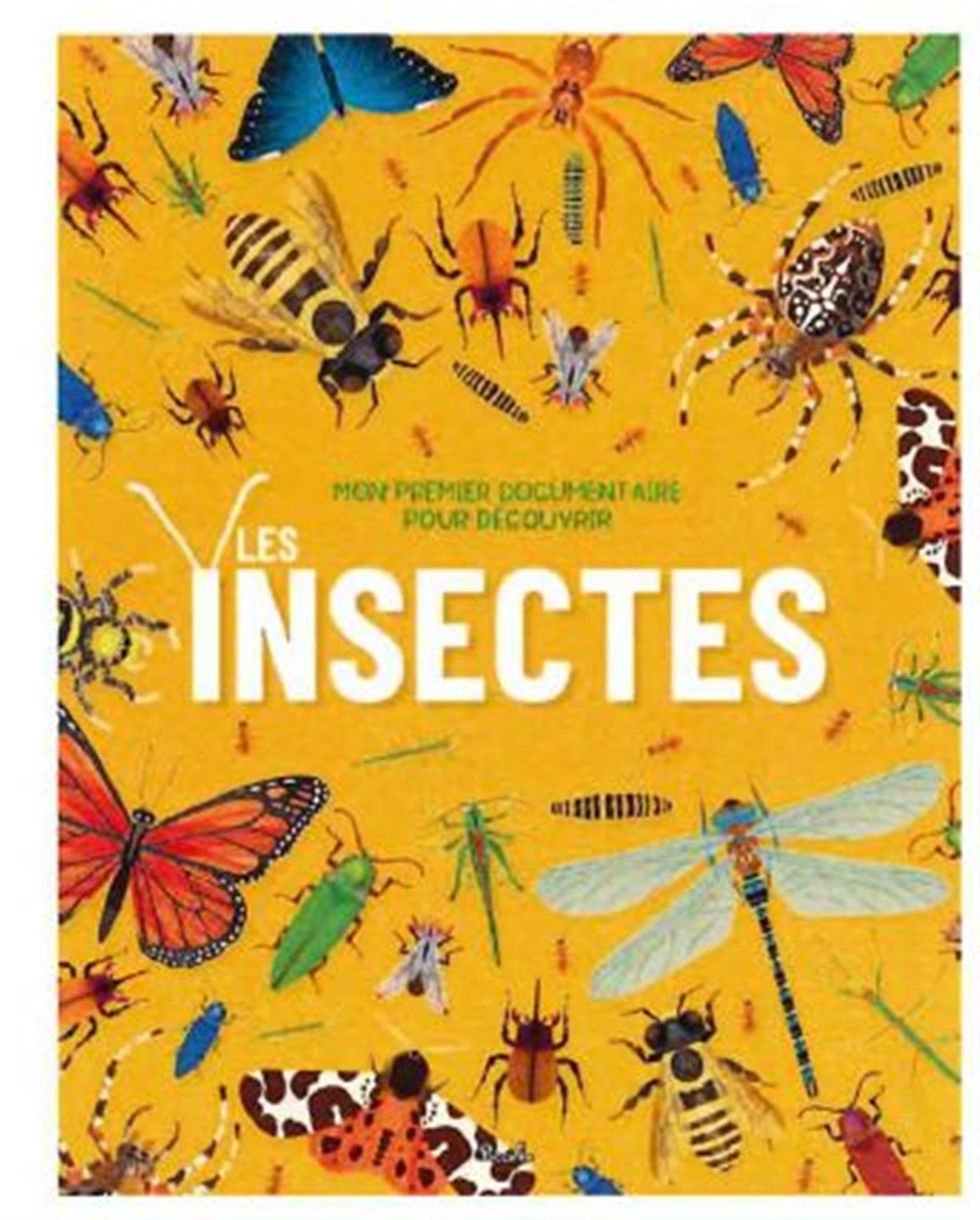 Mon premier documentaire pour découvrir: Les Insectes