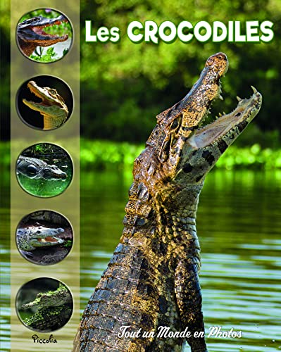 Tout un monde en photos: les crocodiles