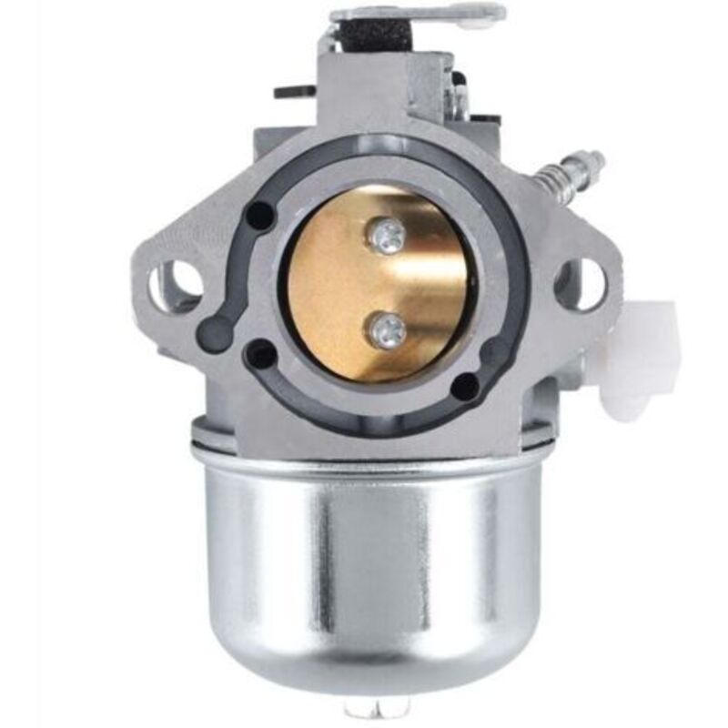 Carburateur Pour & Stratton 28m707 28r707 28t707 28v707 - Métal Argent - Compatible Avec Moteurs Verticaux - Kit De Révision Inclus