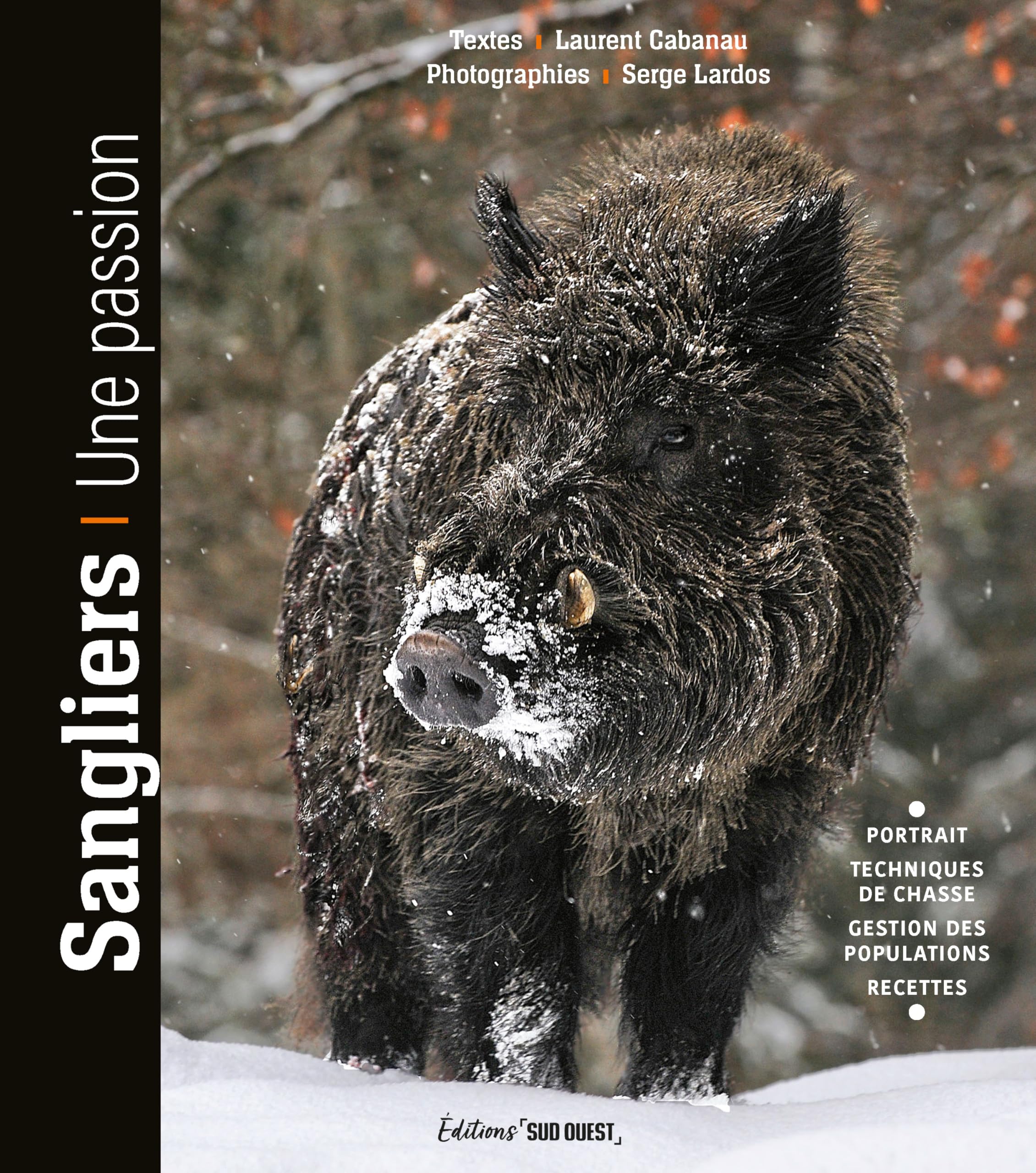 Sangliers: Une passion