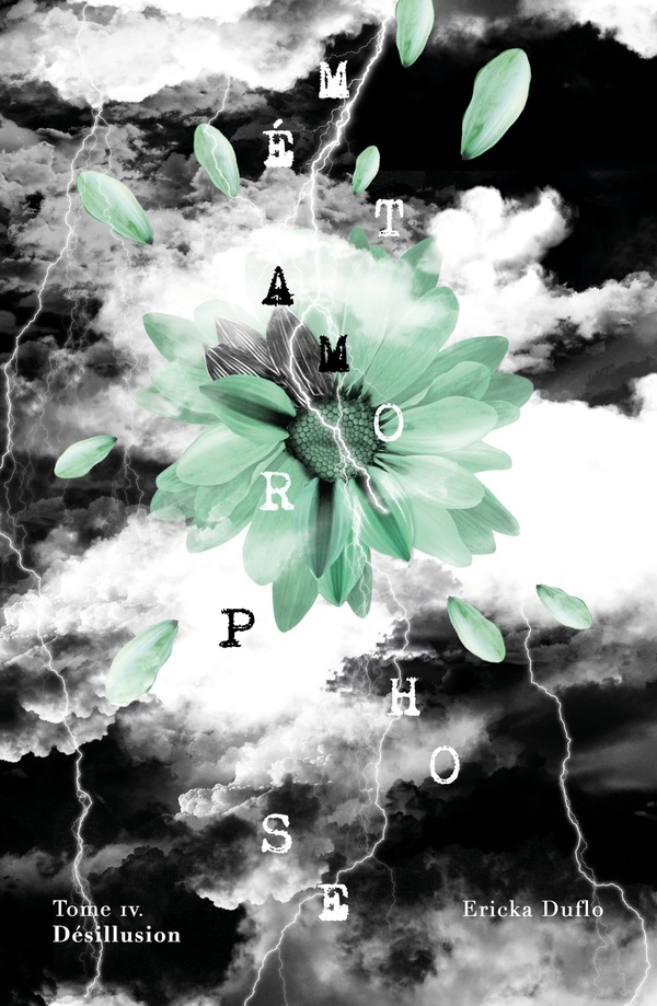 Métamorphose Tome 4: désillusion