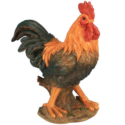 Coq Pm Orange 30 Cm