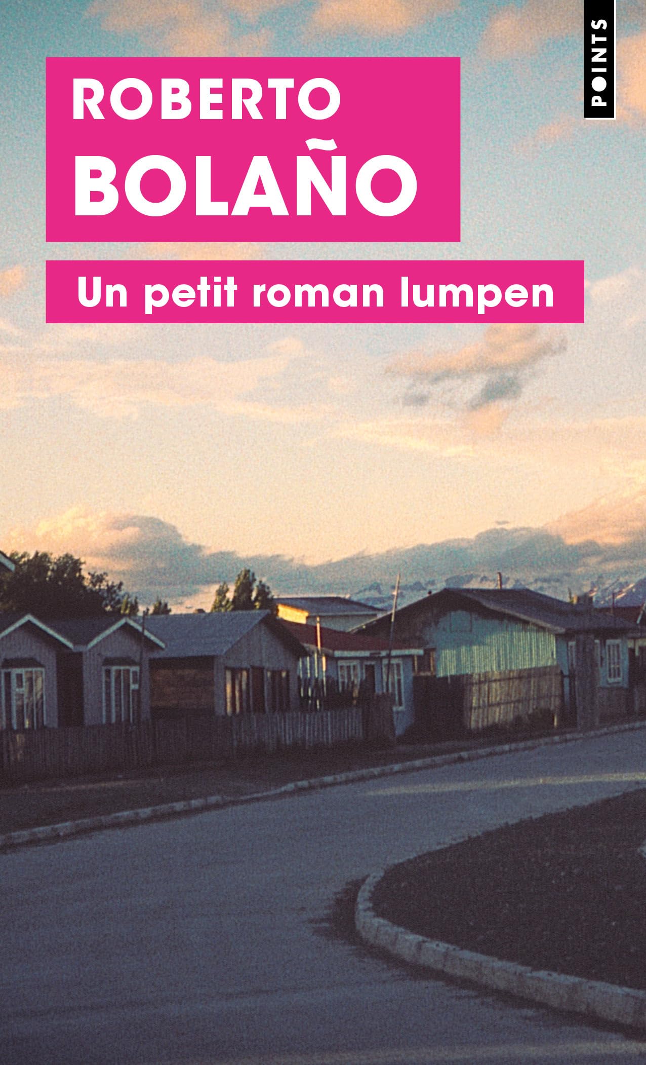 Un petit roman lumpen