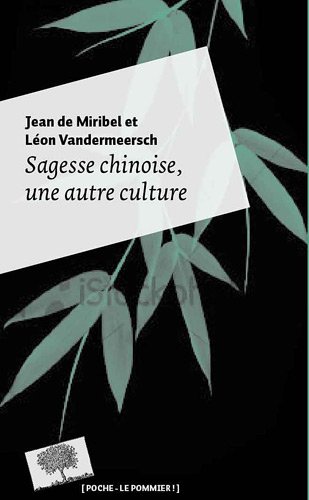 Sagesse chinoise, une autre culture - Poche