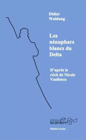 Les nénuphars blancs du Delta
