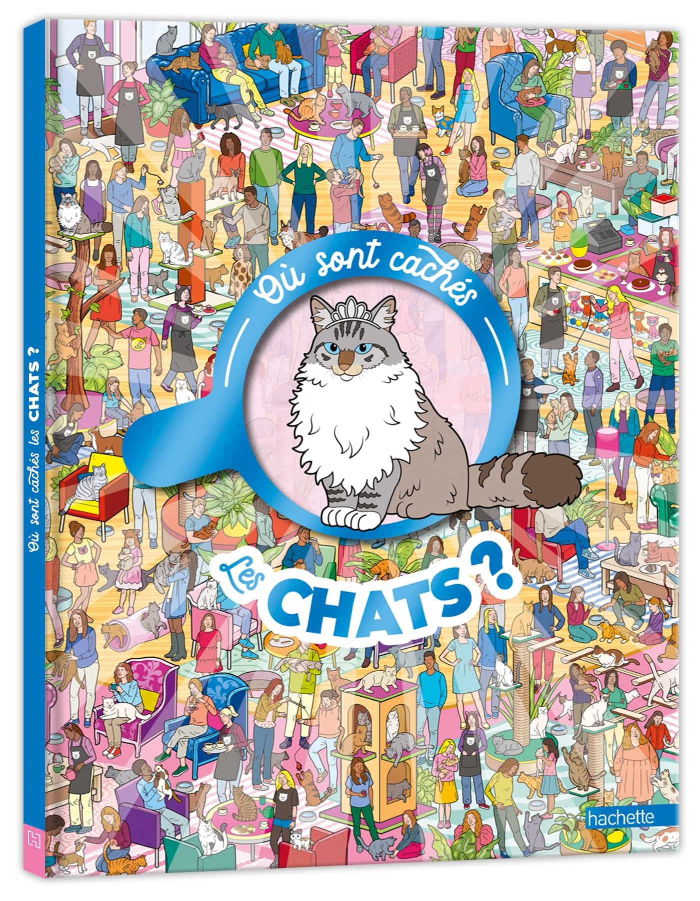 Où sont cachés les chats?
