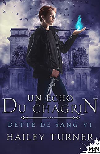 Dette de sang Tome 6: un écho du chagrin